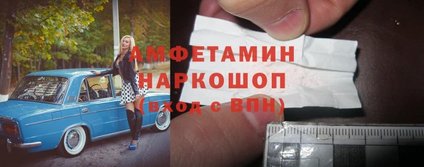 мдпв Туринск